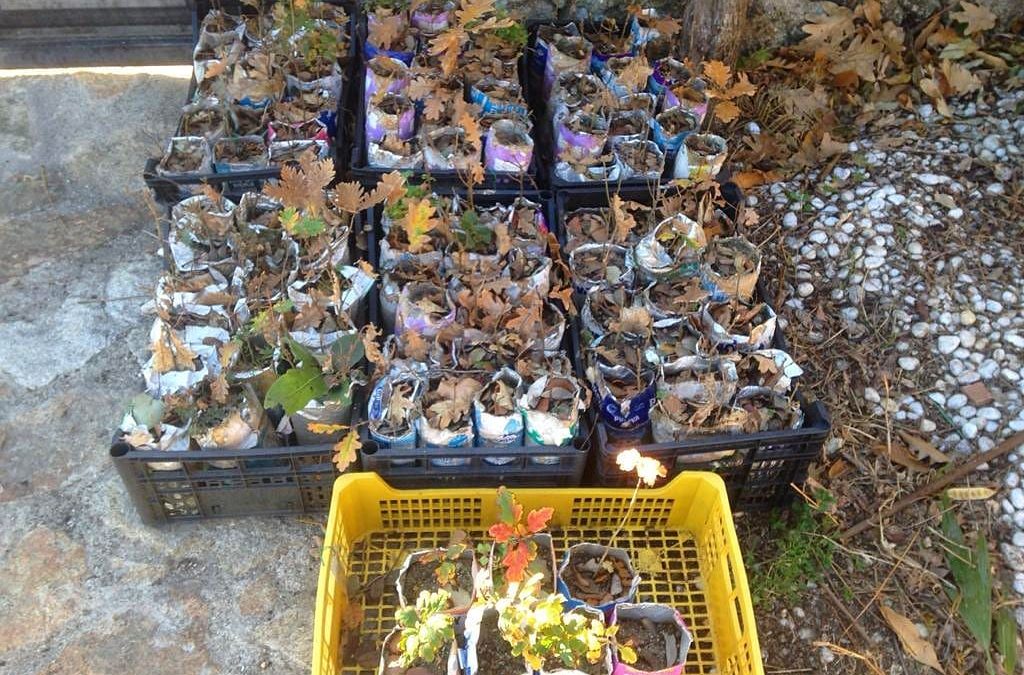 Compromiso Ambiental